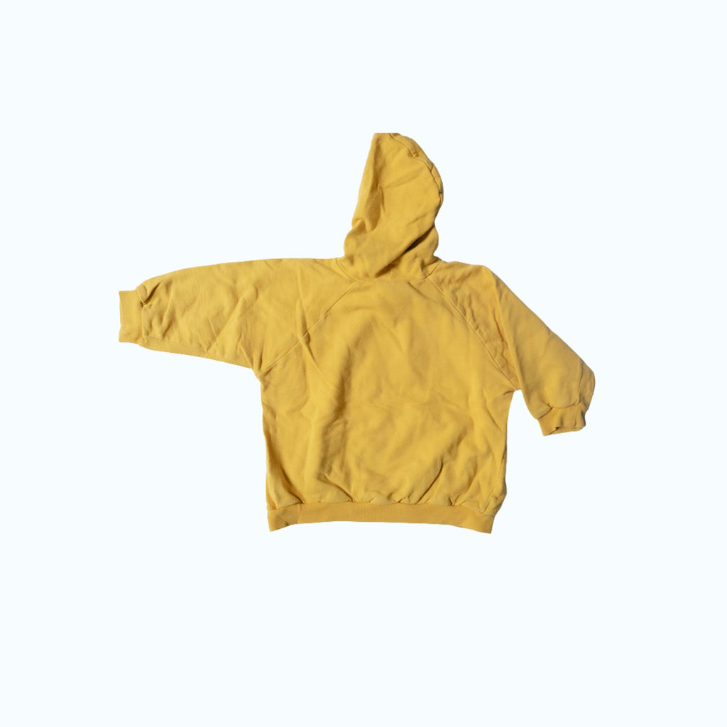 Adidas Big Logo Hoodie | 2-3Y